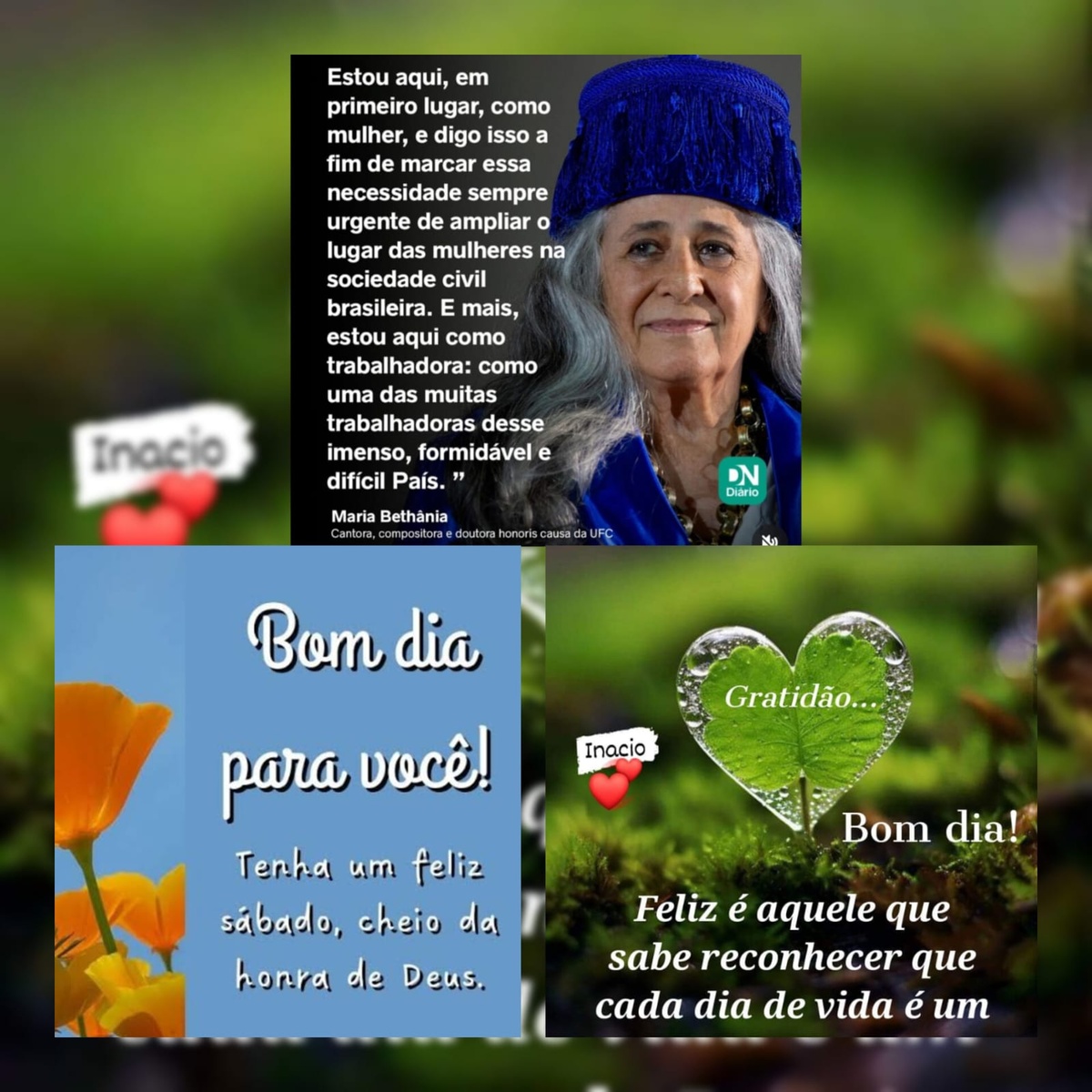 Pensamento do dia