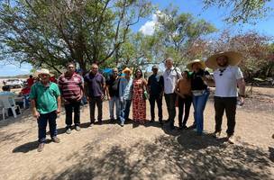 Programa vai fortalecer a produção de arroz em várias regiões do Piauí (Foto: Reprodução/Governo do Piauí)