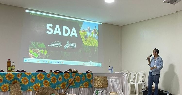 Programa vai fortalecer a produção de arroz em várias regiões do Piauí