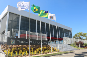 Seminário da Semana Internacional da Justiça Restaurativa no TJ-PI (Foto: Divulgação)