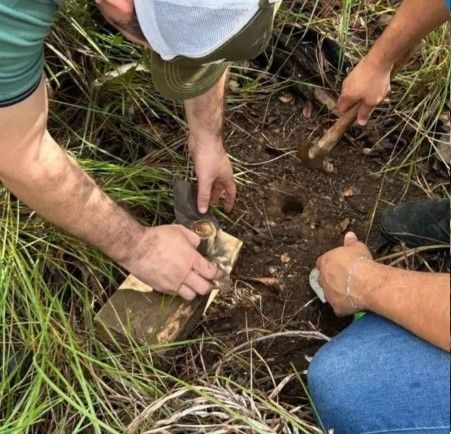Uespi vai quantificar carbono armazenado no Cerrado piauiense
