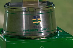 Campeonato Piauense (Foto: Reprodução/FFP)