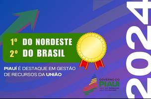 Capa (Foto: Reprodução/Governo do Piauí)