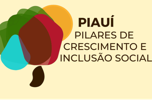 Capa (Foto: Reprodução/Governo do Piauí)