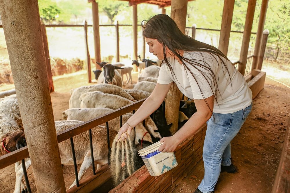 O programa vai incentivar a participação de jovens na agricultura familiar.