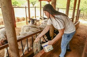 O programa vai incentivar a participação de jovens na agricultura familiar. (Foto: Reprodução/Geirlys Silva / SAF)