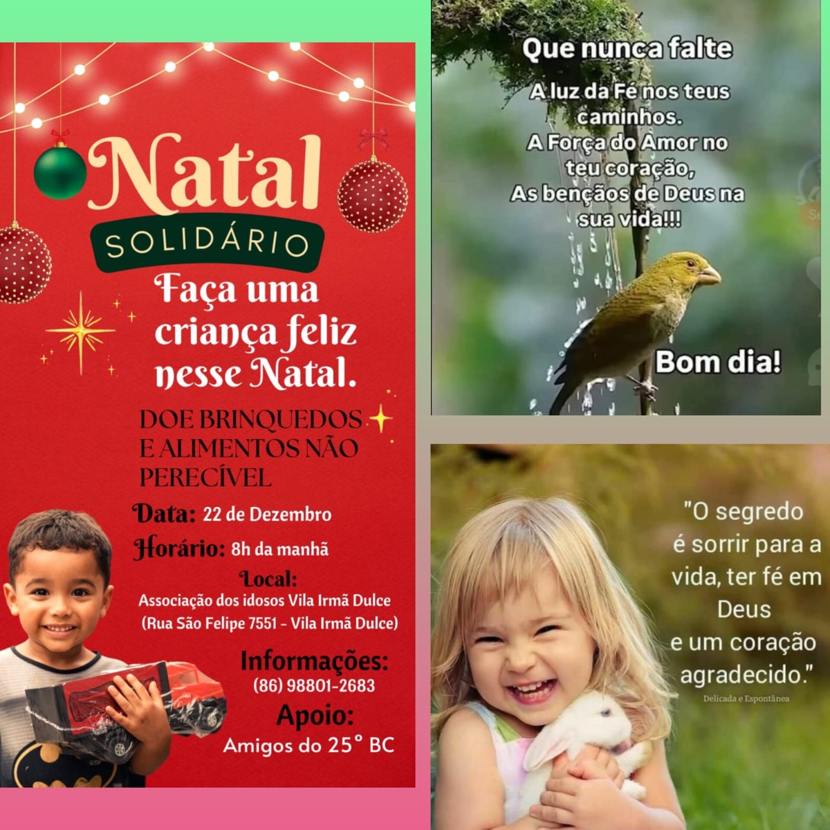 Pensamento do dia