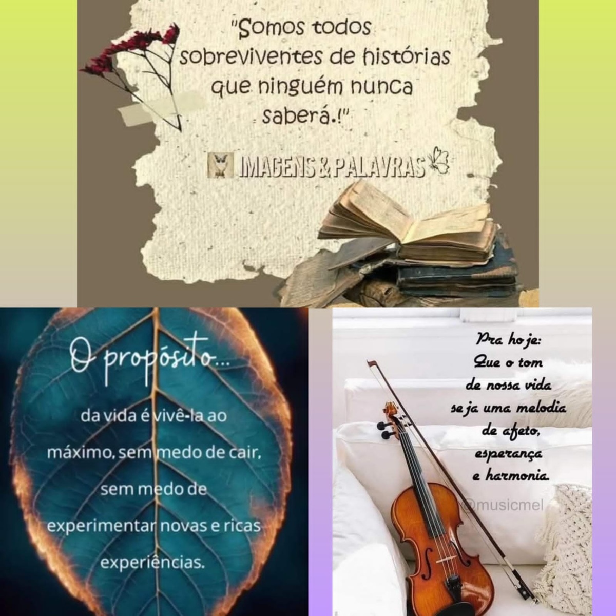 Pensamento do dia.