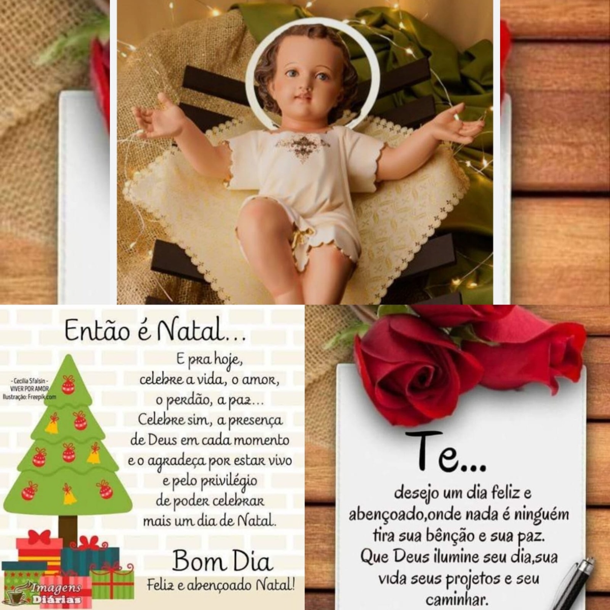 Pensamento do dia
