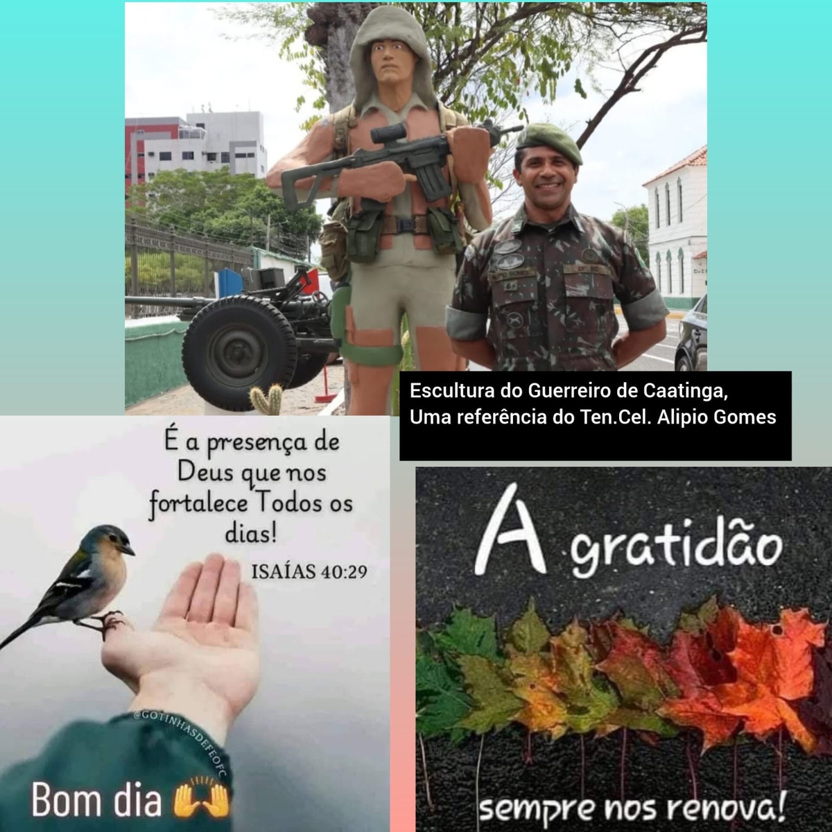 Pensamento do dia