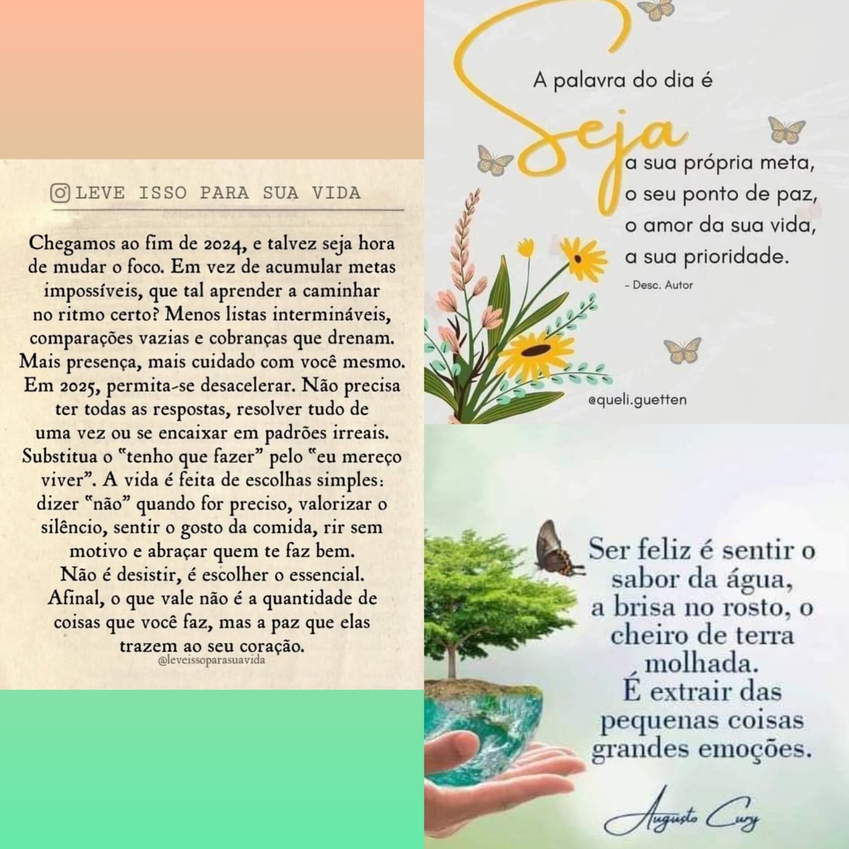 Pensamento do dia