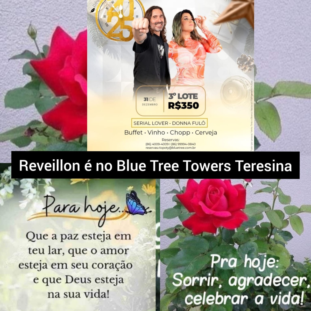 Pensamento do dia.