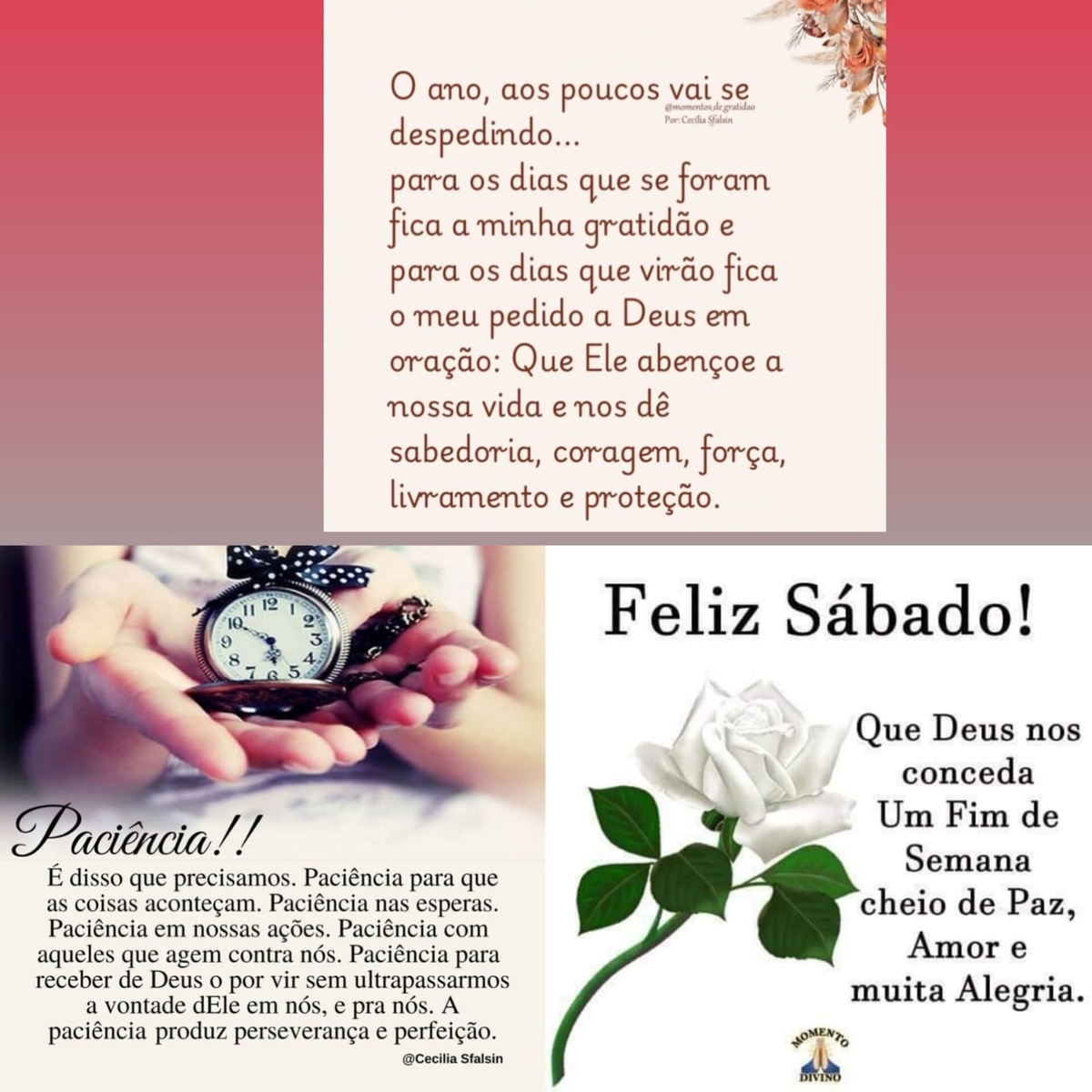 Pensamento do dia