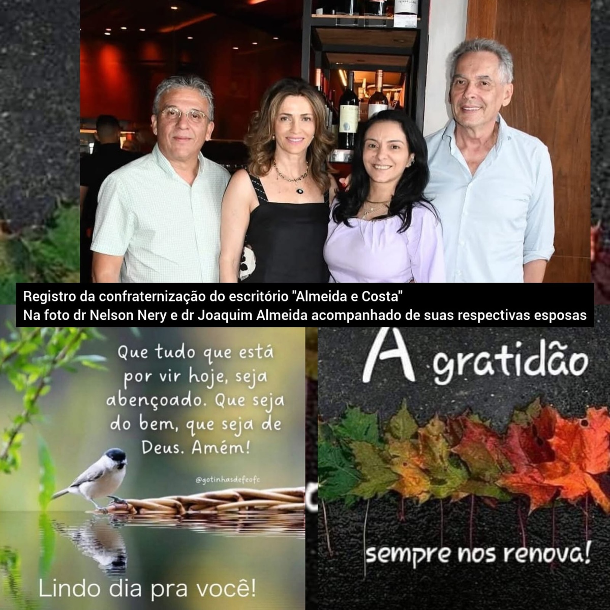 Pensamento do dia.