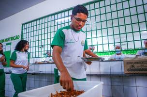 Seduc abre chamada pública para aquisição de alimentos feitos pela Agricultura Familiar (Foto: Divulgação)