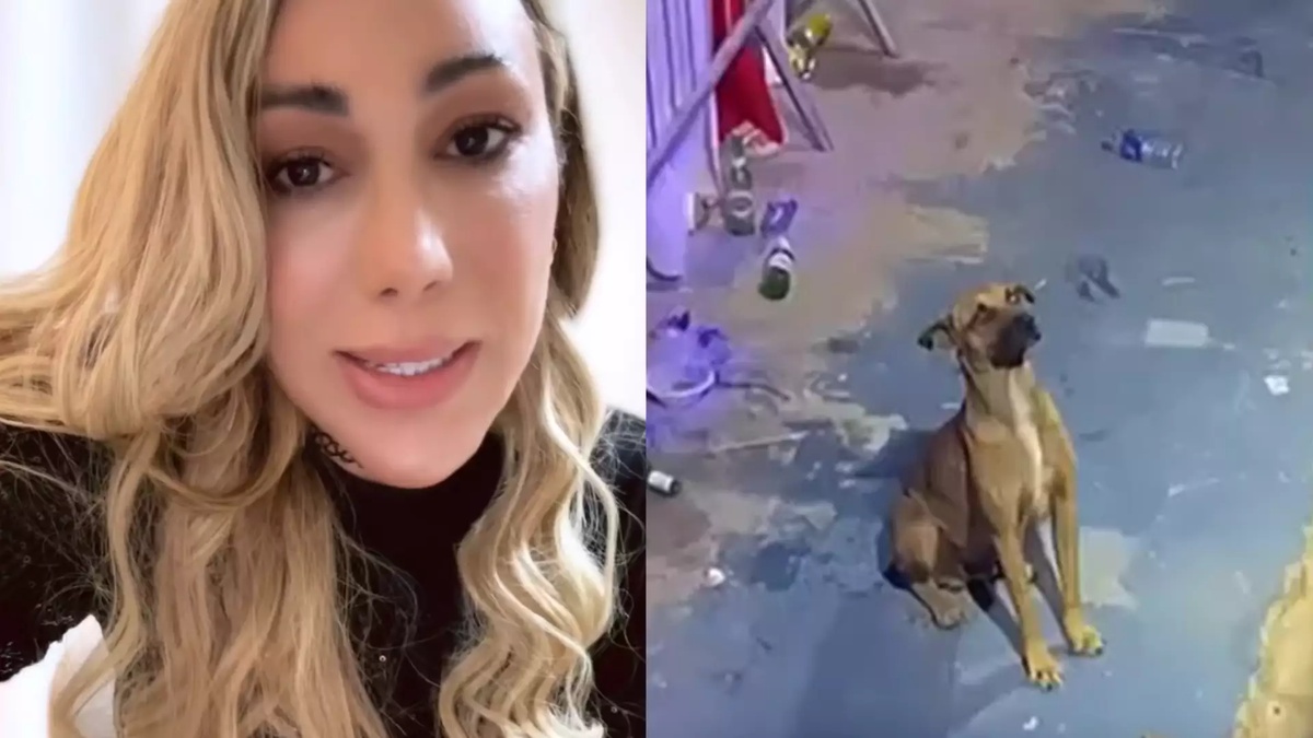 Taty Girl revela que dono do caramelo apareceu e não poderá adotar o cão