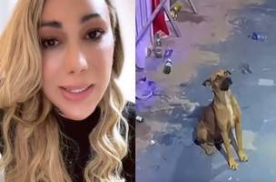 Taty Girl revela que dono do caramelo apareceu e não poderá adotar o cão (Foto: Reprodução/Redes Sociais)