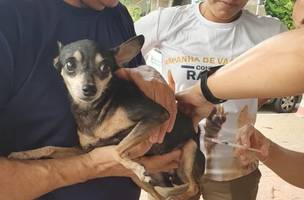 Vacinação na zona rural sudeste de Teresina (Foto: Divulgação/FMS)