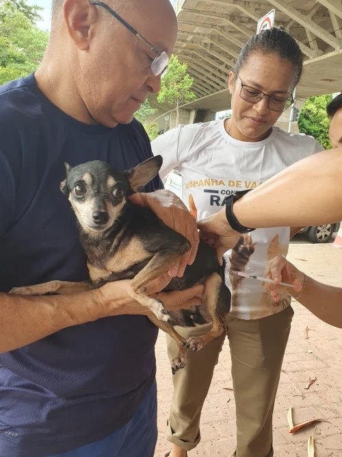 Vacinação na zona rural sudeste de Teresina