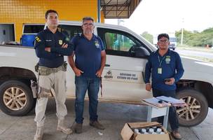 Adapi apreende agrotóxicos transportados de forma irregular (Foto: Governo do Piauí)