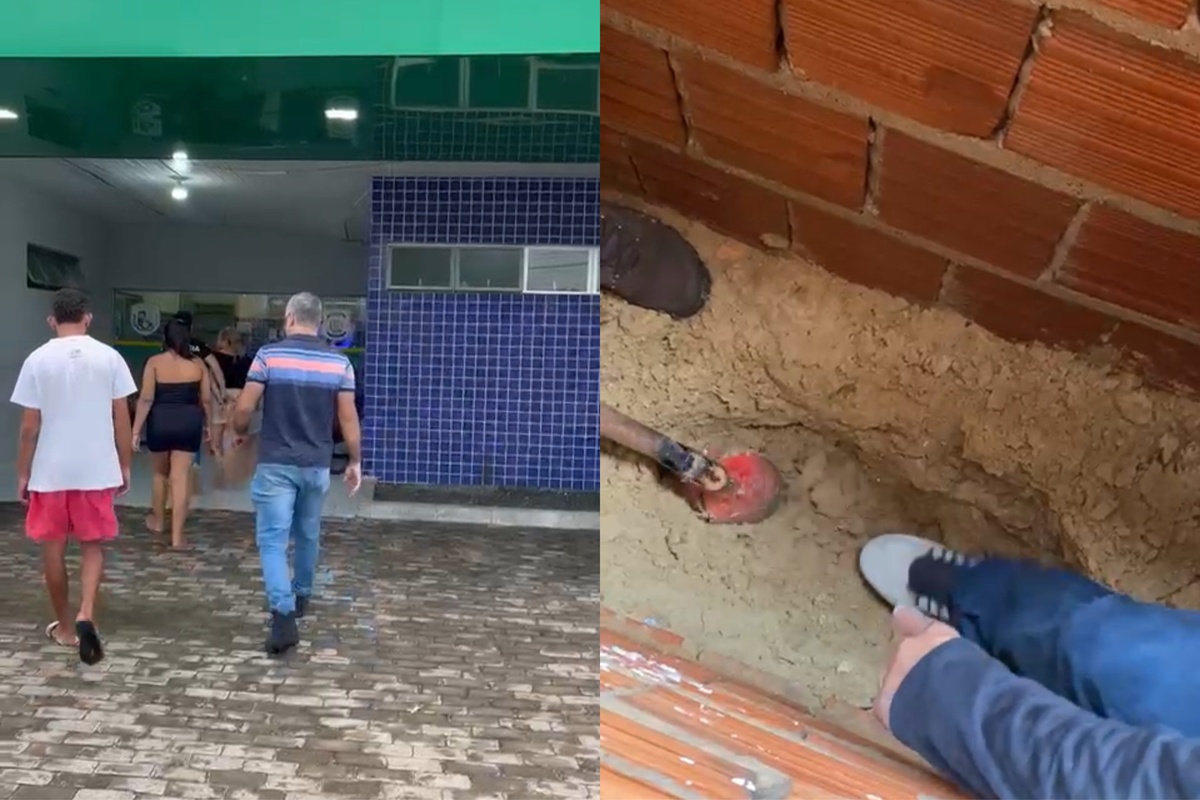 As drogas estavam acondicionadas em sacolas e enterradas