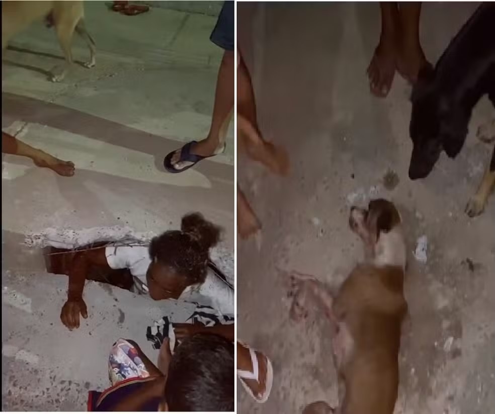 Cachorro foi resgatado por moradores da região, após a recusa do Corpo de Bombeiros