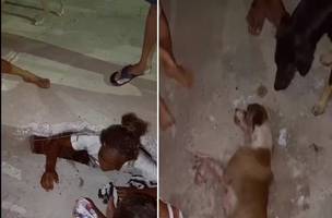 Cachorro foi resgatado por moradores da região, após a recusa do Corpo de Bombeiros (Foto: Reprodução)
