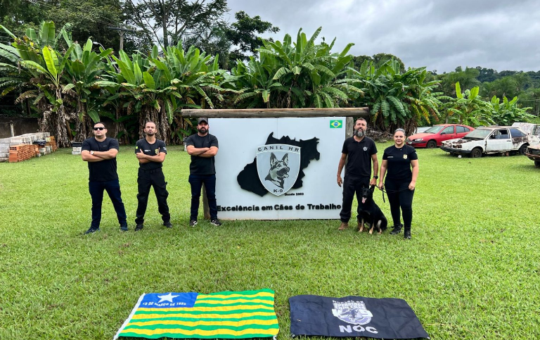 Cão de detecção