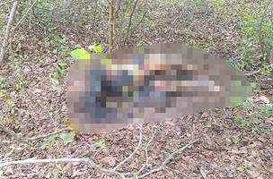 Corpo foi encontrado queimado e decapitado (Foto: Reprodução)