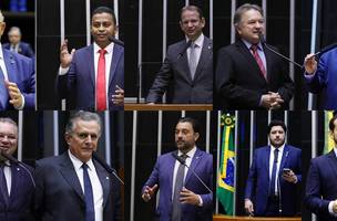 Deputados federais do Piauí (Foto: Reprodução)