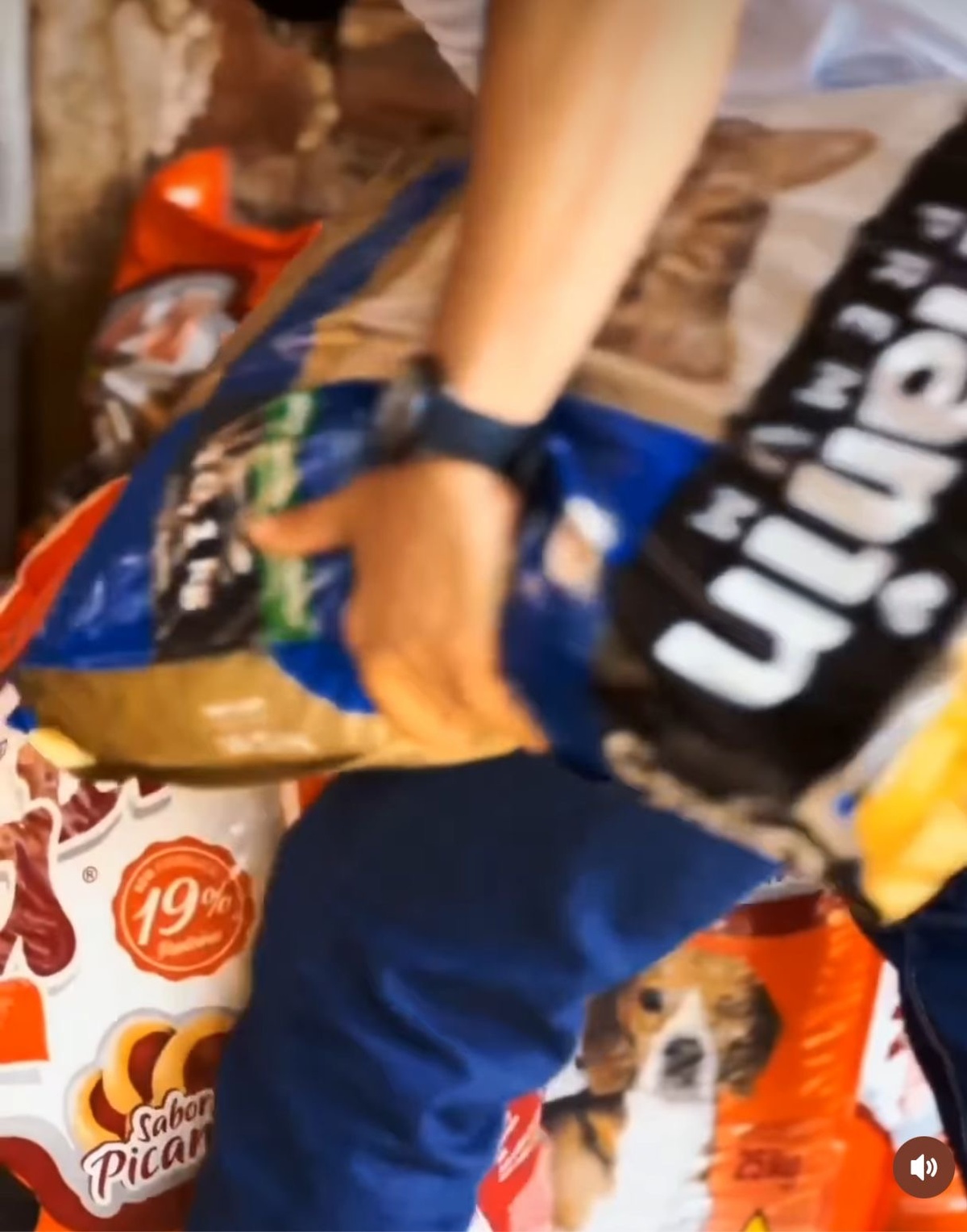 Esse aí é o candidato Fábio Novo deixando ração para animais da Casa Pet. Ele nunca havia feito antes