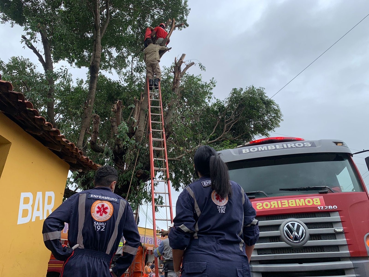 O Corpo de Bombeiros efetuou o resgate e uma equipe do Samu prestou atendimento médico no local