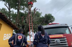 O Corpo de Bombeiros efetuou o resgate e uma equipe do Samu prestou atendimento médico no local (Foto: Reprodução)