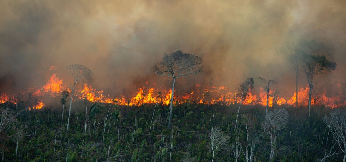 Queimadas na Amazônia