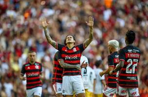 vence (Foto: flamengo)