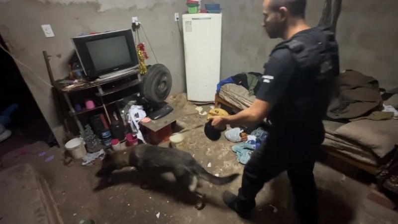 Denarc deflagra operação e prende 3 investigados