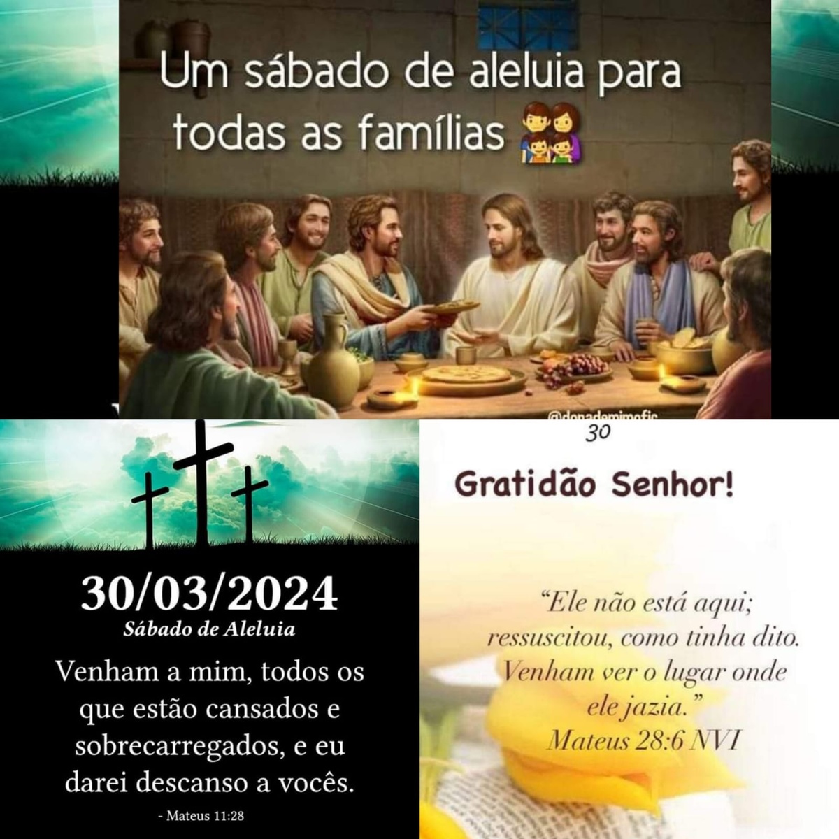Pensamento do dia