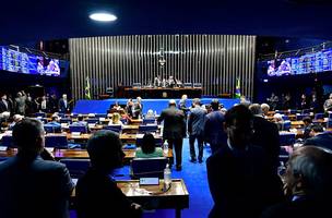Votação de diretrizes para educação integral (Foto: Waldemir Barreto/ Agência Senado)