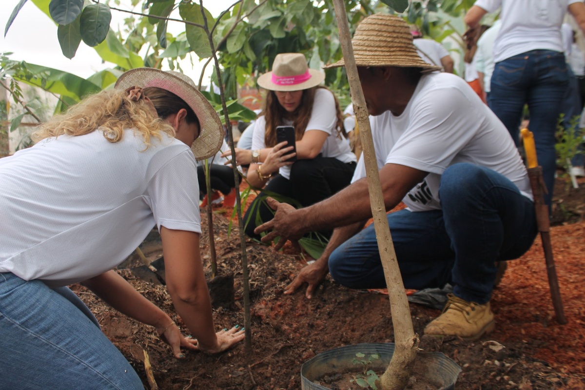 Agrofroresta é a aposta da CASACOR