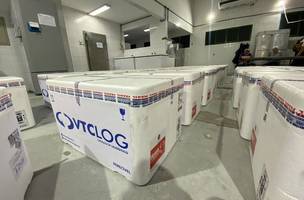 Carga com vacinas contra a dengue que chegou ao Piauí nesta sexta-feira (26) (Foto: Sesapi)