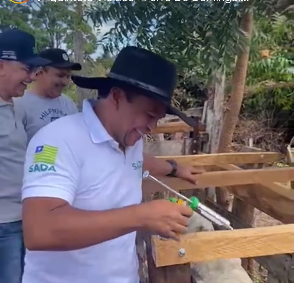 O boi sofre. Olha a nova arma do capitão. A cada “tiro” o boi berra e pula.