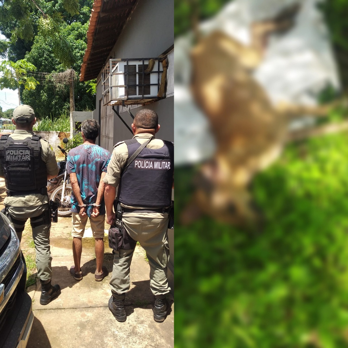 O crime aconteceu no interior do Piauí