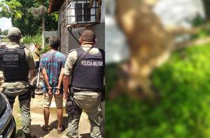 O crime aconteceu no interior do Piauí (Foto: Reprodução)
