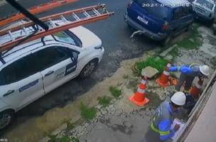 O filhote foi arremessado e atingiu o carro da empresa (Foto: Reprodução/ redes sociais)