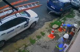 O filhote foi arremessado e atingiu o carro da empresa (Foto: Reprodução/ redes sociais)