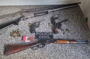 Seis armas forma apreendidas durante a prisão do ex-policial (Foto: Divulgação/PC-PI)