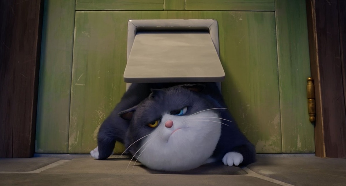 Um gato de Sorte