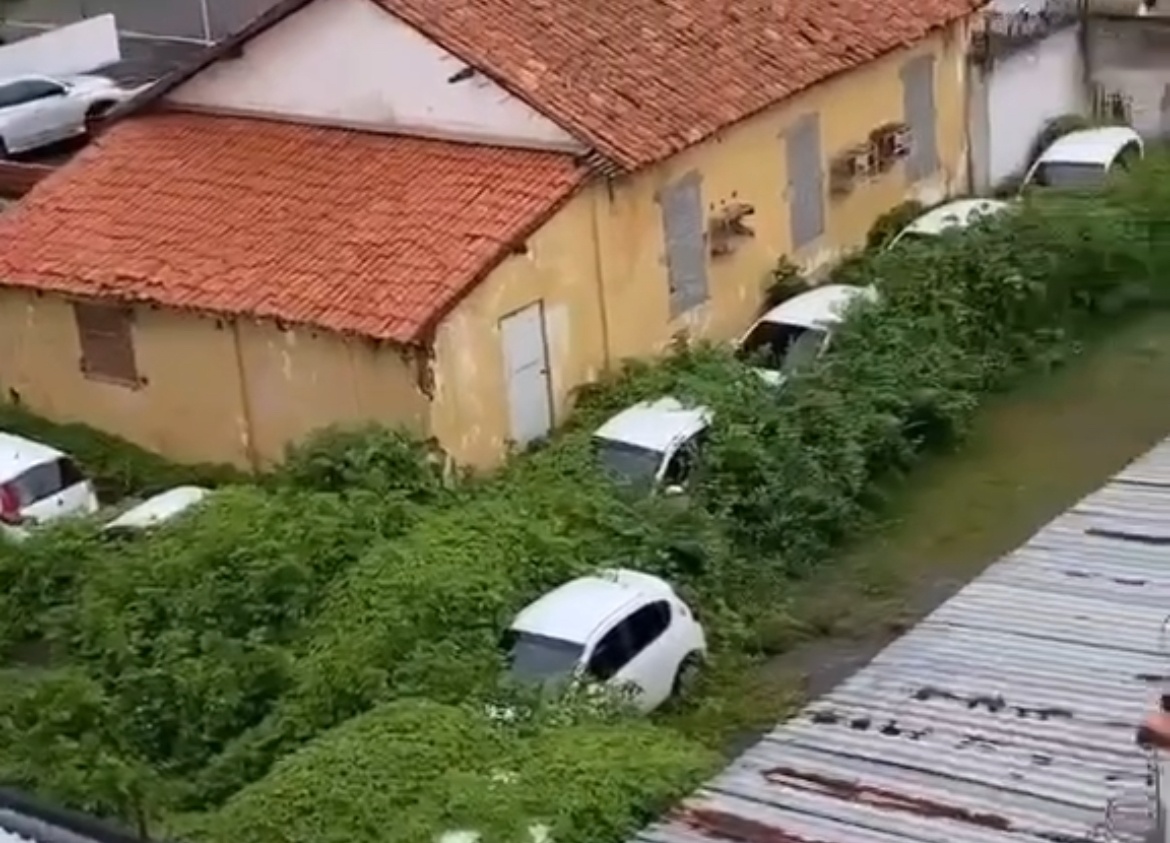 Veículos estão cobertos pelo mato, no quintal de uma residência que também está abandonada