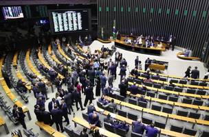 Votação na Caâmara dos deputados (Foto: Agência Senado)