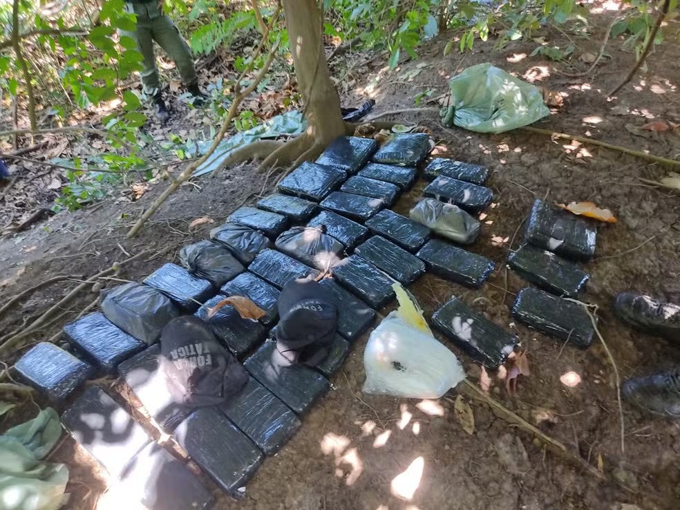 45kg de drogas foram encontradas pela Polícia Civil do Piauí em uma mata da zona Norte de Teresina